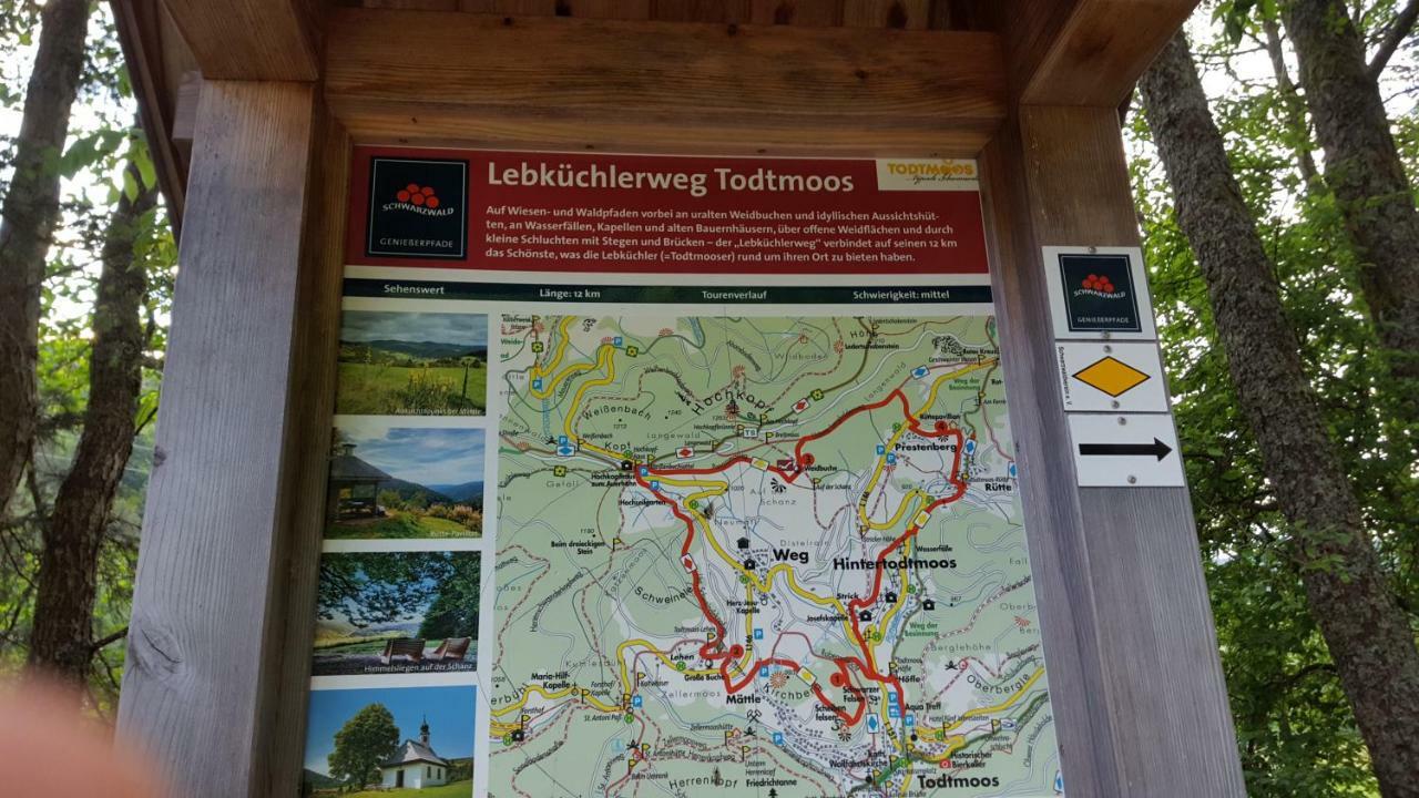 Ferienwohnung Im Schwarzwald Todtmoos Eksteriør billede