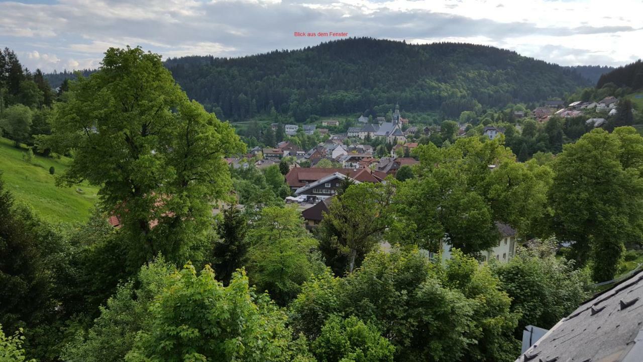 Ferienwohnung Im Schwarzwald Todtmoos Eksteriør billede