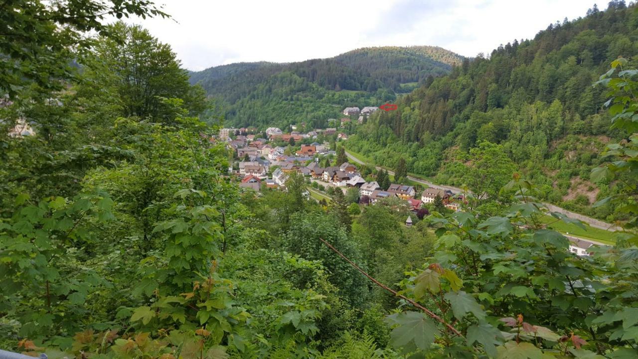 Ferienwohnung Im Schwarzwald Todtmoos Eksteriør billede